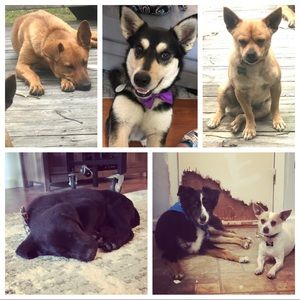 Meet your Posher, Erin